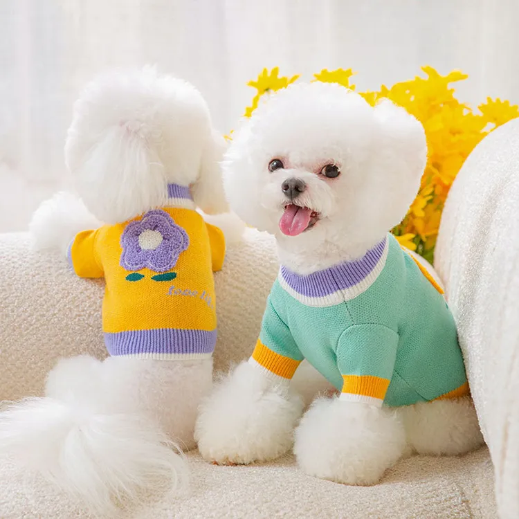 custom-floral-applique-pet-sweater-model-shot