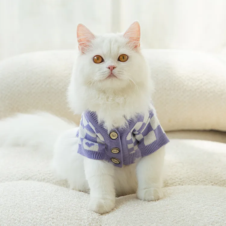 custom-checkerboard-heart-pet-sweater-model-shot