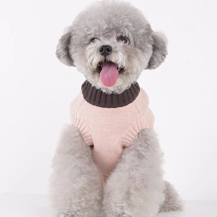 custom-cute-animal-face-pet-sweater-model-shot