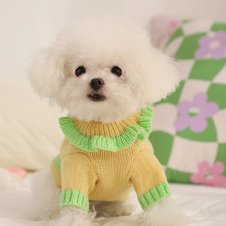 custom-ruffled-collar-pet-cardigan-model-shot