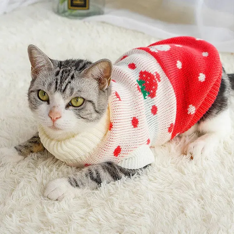 custom-strawberry-polka-dot-pet-sweater-model-shot