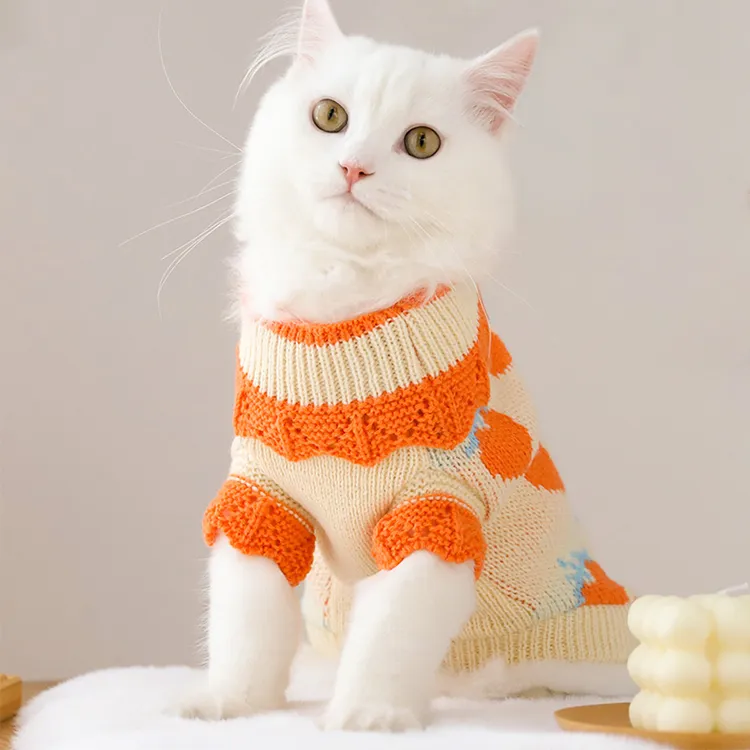 custom-strawberry-print-pet-sweater-model-shot