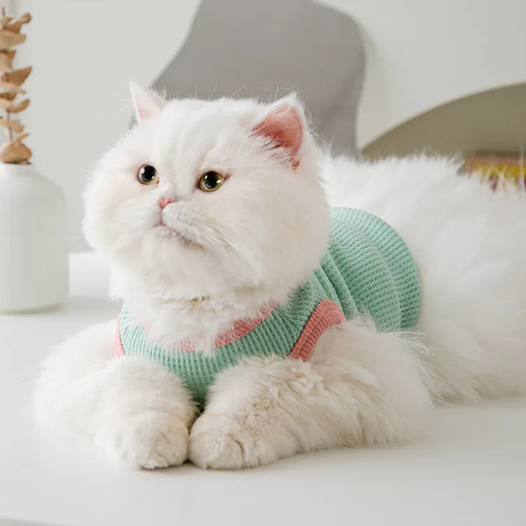 custom-waffle-knit-bear-pet-vest-model-shot
