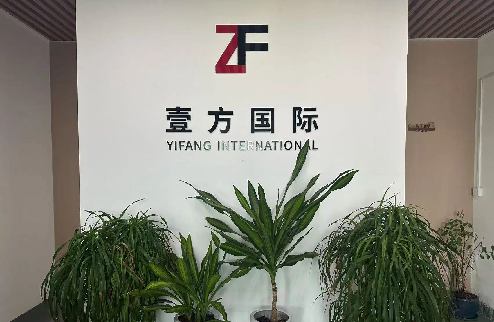 ZF Knitwear Yifang International company brand logo in professional office lobby