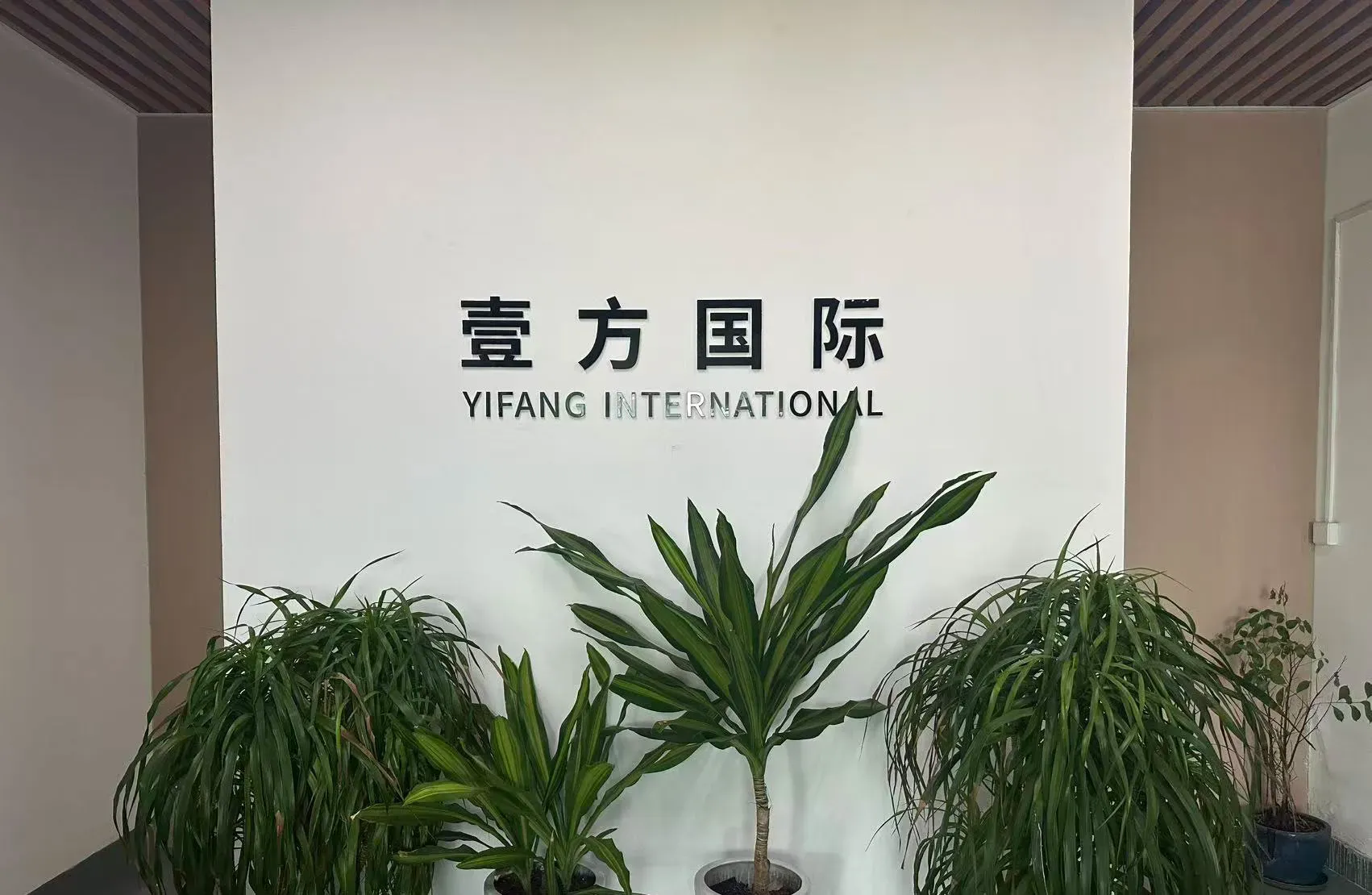 china knitwear factory